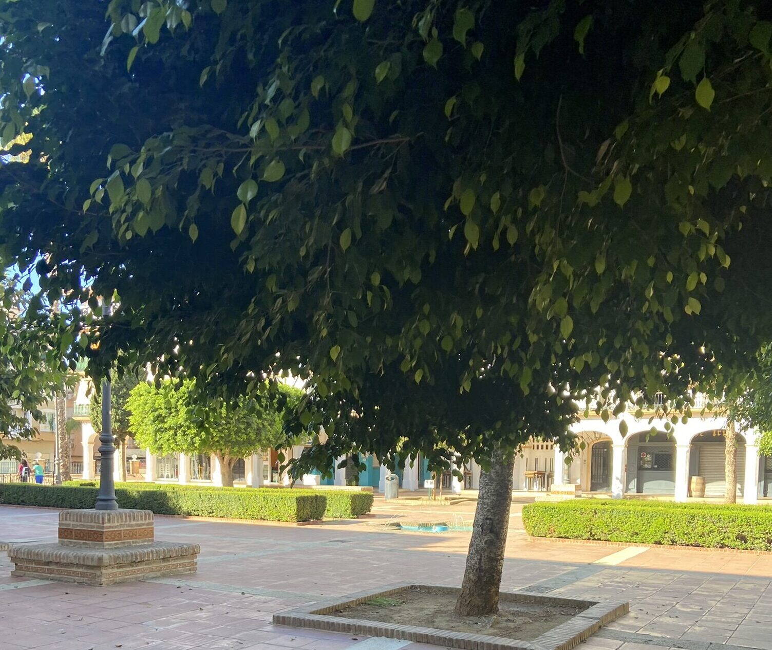 tranquilidad
